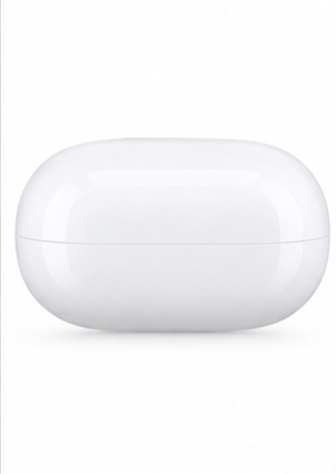 AP Premium Wireless Earbuds with Charging Case – White
